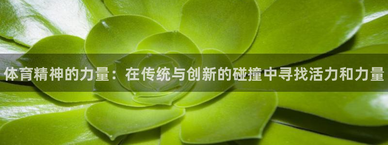 J9官网下载：体育精神的力量：在传统与创新的碰撞中寻