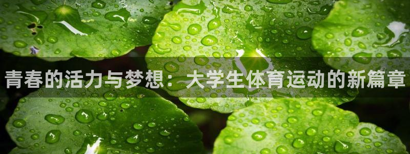 海南J9官网下载：青春的活力与梦想：大学生体育运动的