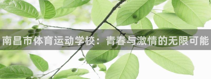 J9官网下载招商电话号码是多少：南昌市体育运动学校：