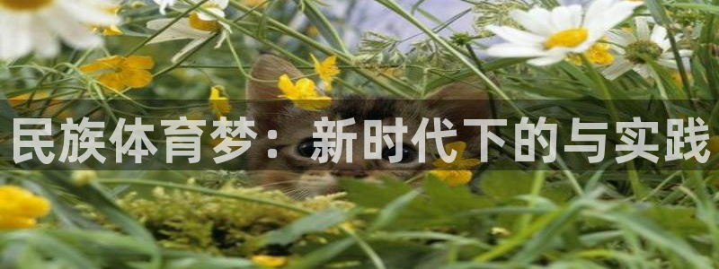 J9官方正版app科技：民族体育梦：新时代下的与实践