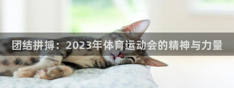 J9官网下载招商电话号码查询：团结拼搏：2023年体
