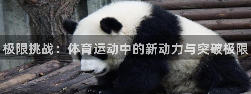 J9官方正版app娱乐网站：极限挑战：体育运动中的新