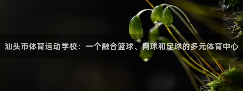 J9官网下载平台注册要钱吗安全吗：汕头市体育运动学校：一个融