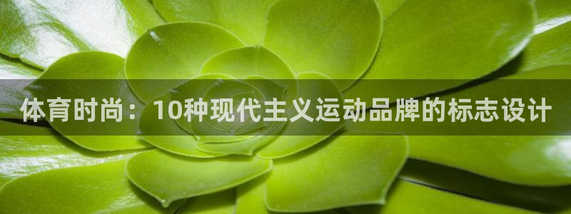 J9官方正版app集团官网首页网址