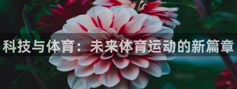 J9官方正版app官方：科技与体育：未来体育运动的新篇章