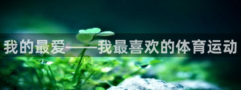 J9官方正版app集团logo：我的最爱——我最喜欢的体育运