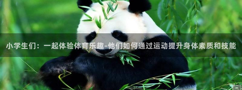 J9官方平台体育