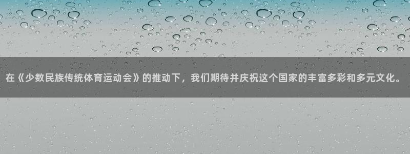 J9官方正版app新能源：在《少数民族传统体育运动会