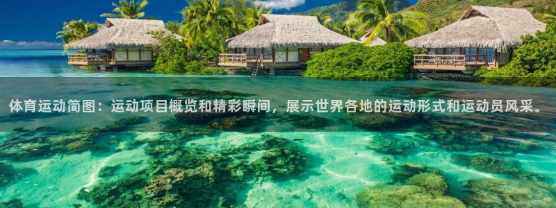 J9官网下载招商电话：体育运动简图：运动项目概览和精