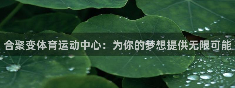 J9官网下载平台注册流程视频：合聚变体育运动中心：为