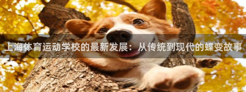 J9官网下载招商电话号码查询是多少：上海体育运动学校