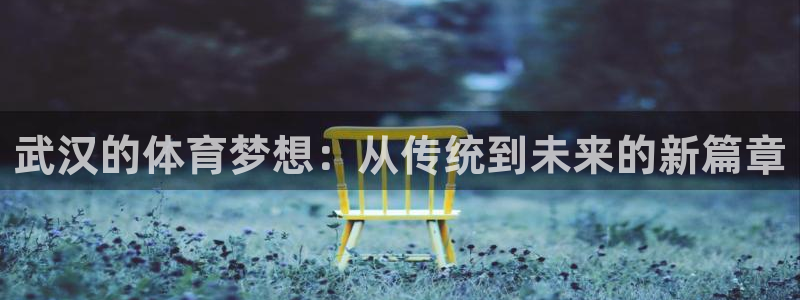 J9官方正版app娱乐首页网站大全：武汉的体育梦想：