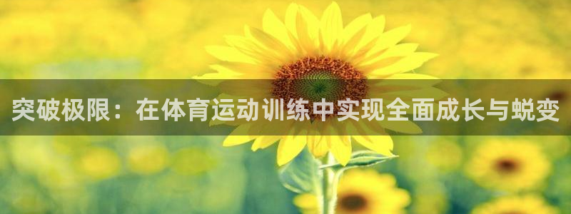 J9官方正版app娱乐：突破极限：在体育运动训练中实