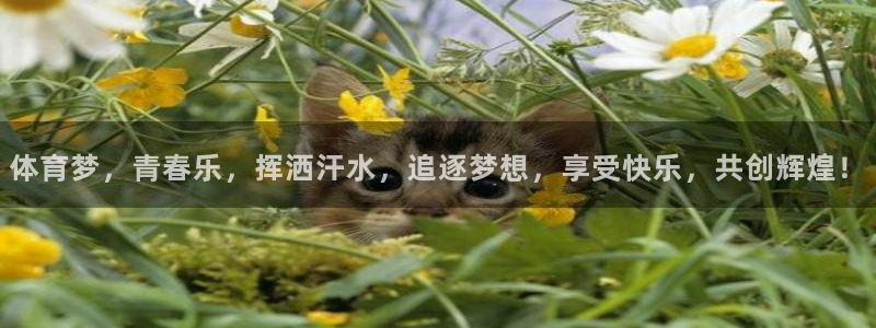J9官网下载官方客服电话：体育梦，青春乐，挥洒汗水，追逐梦想