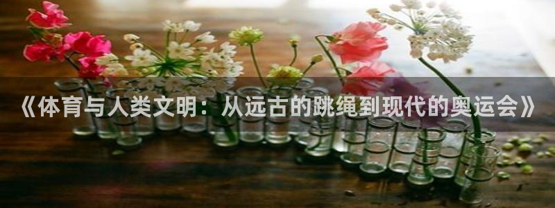 J9官网下载娱乐
